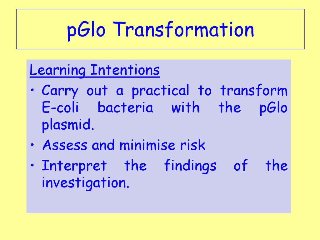 pGlo Transformation Learning Intentions