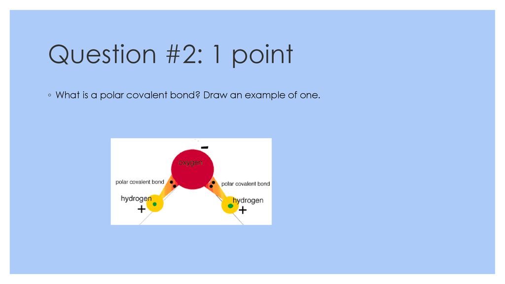 Bellwork: 12/3/15 Which of the following describe meiosis