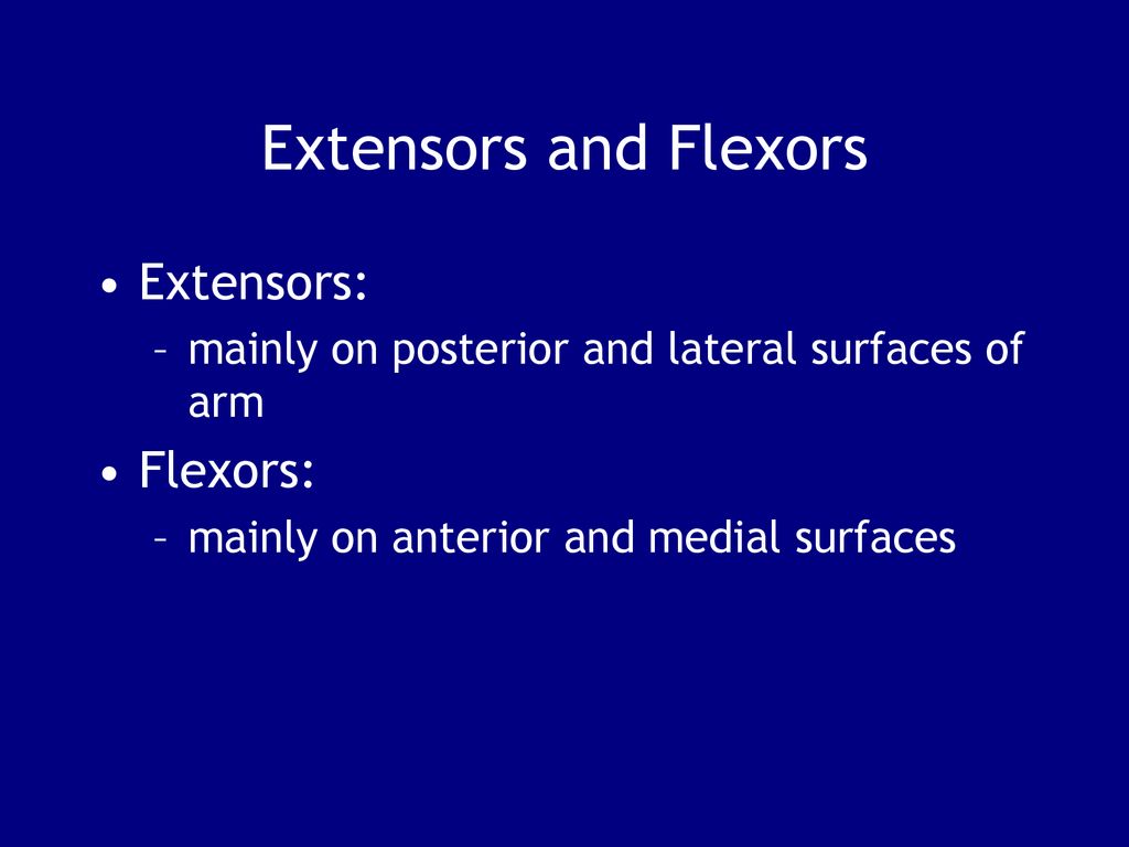 For more slides click here Biology Diagrams