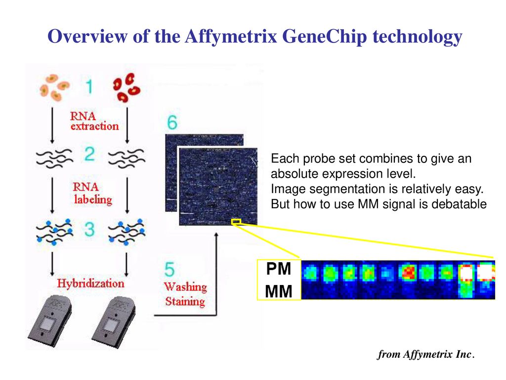 Introduction to microarray data analysis ppt download