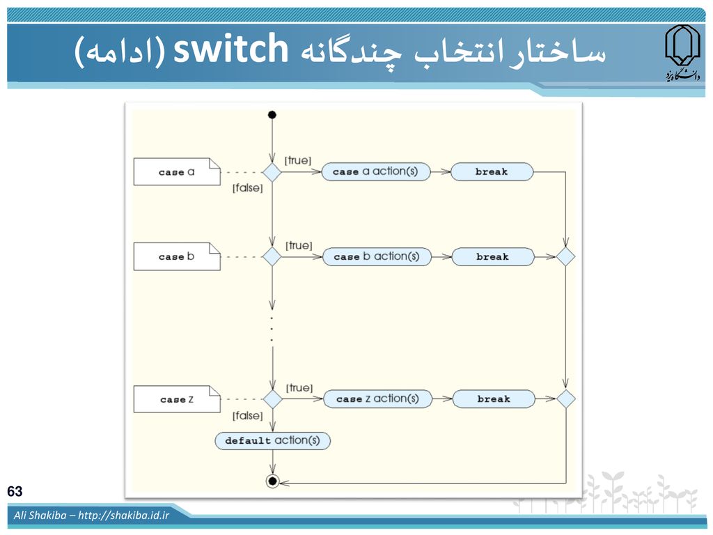 ساختار انتخاب چندگانه switch (ادامه)