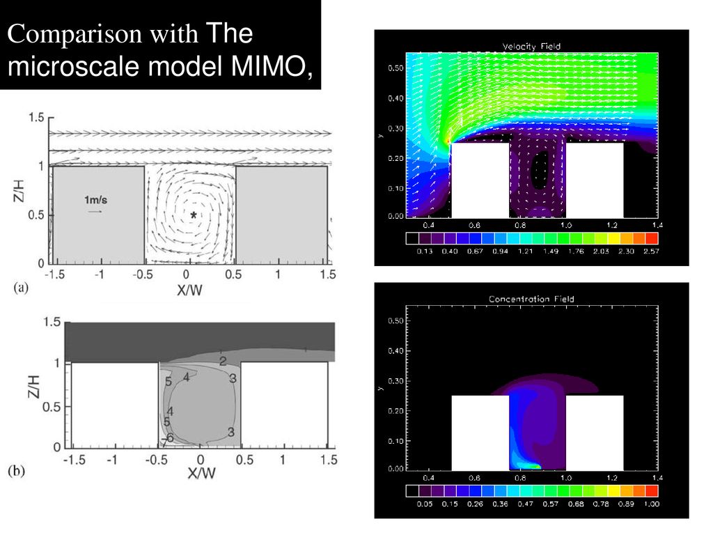 Comparison with The microscale model MIMO,