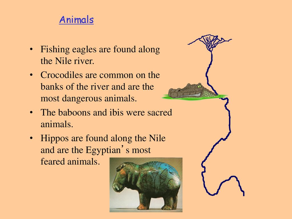 The Nile River. - ppt download The Nile River. - ppt download