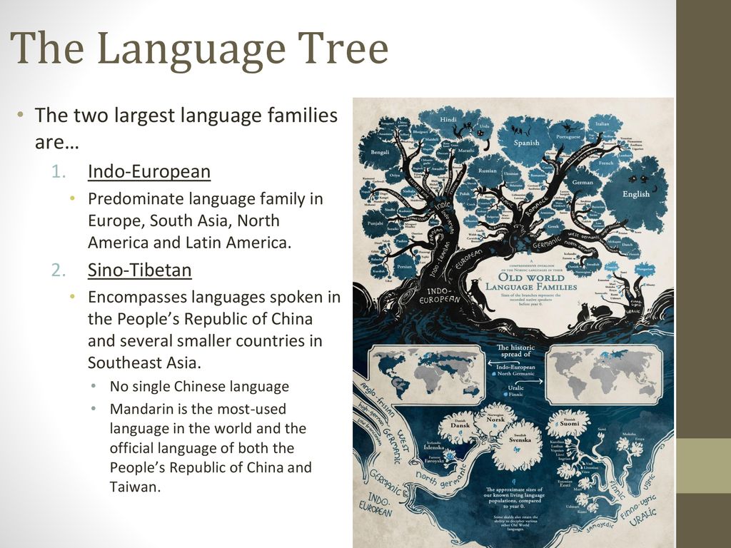 Language Chapter 5 Key Issue Ppt Download If you were ever curious about the easiest asian languages to learn, here's the place to start! language chapter 5 key issue ppt