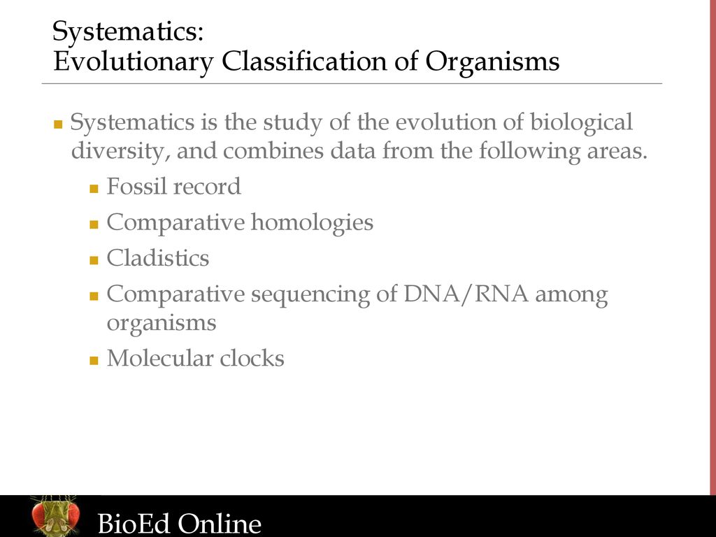 Diversity of Life: Introduction to Biological Classification - ppt download
