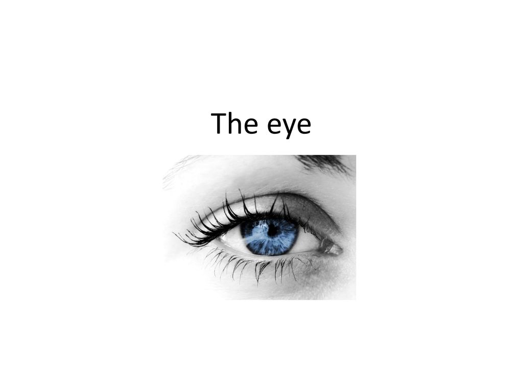 the-eye-ppt-download