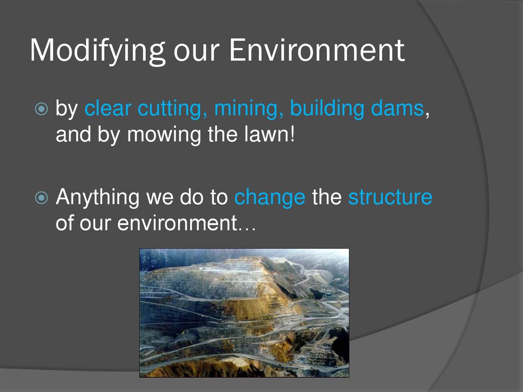 Modifying our Environment