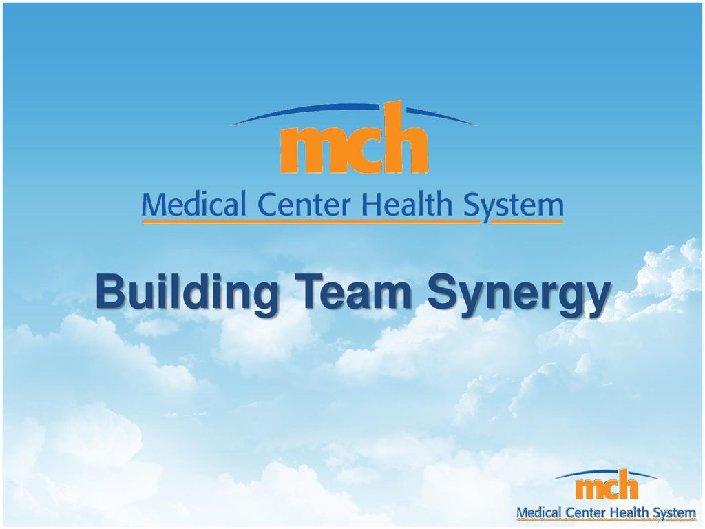 Building Team Synergy