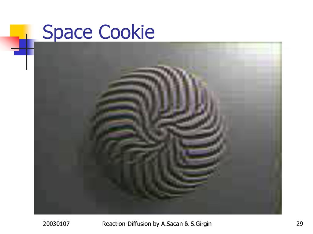 Space Cookie Reaction-Diffusion by A.Sacan & S.Girgin