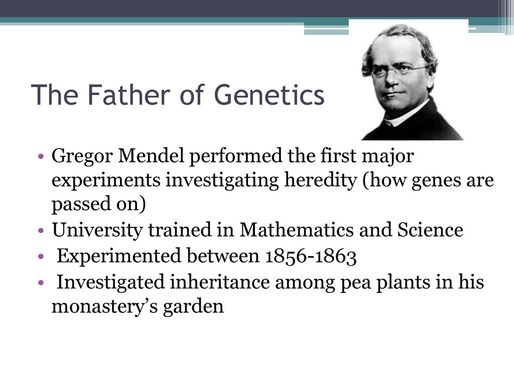 Review: Observe the Family Below and list some observable TRAITS What
