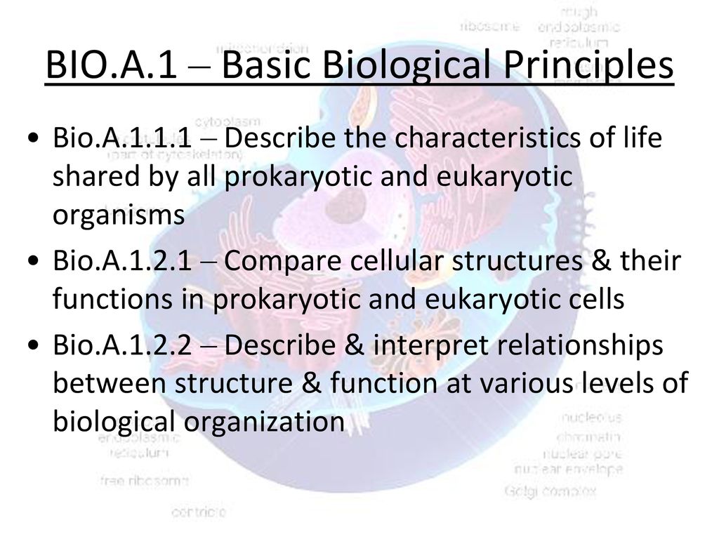 Bio.A Explain The Characteristics Common To All Organisms - Ppt Download