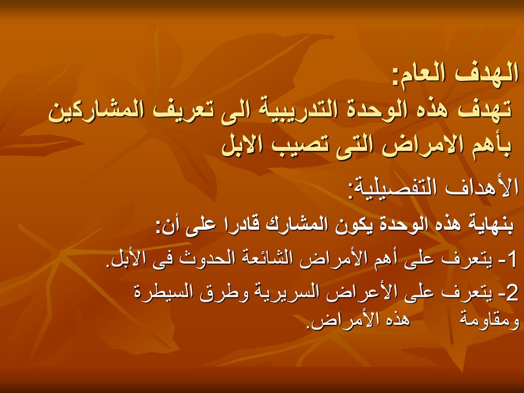 بسم الله الرحمن الرحيم Ppt Download
