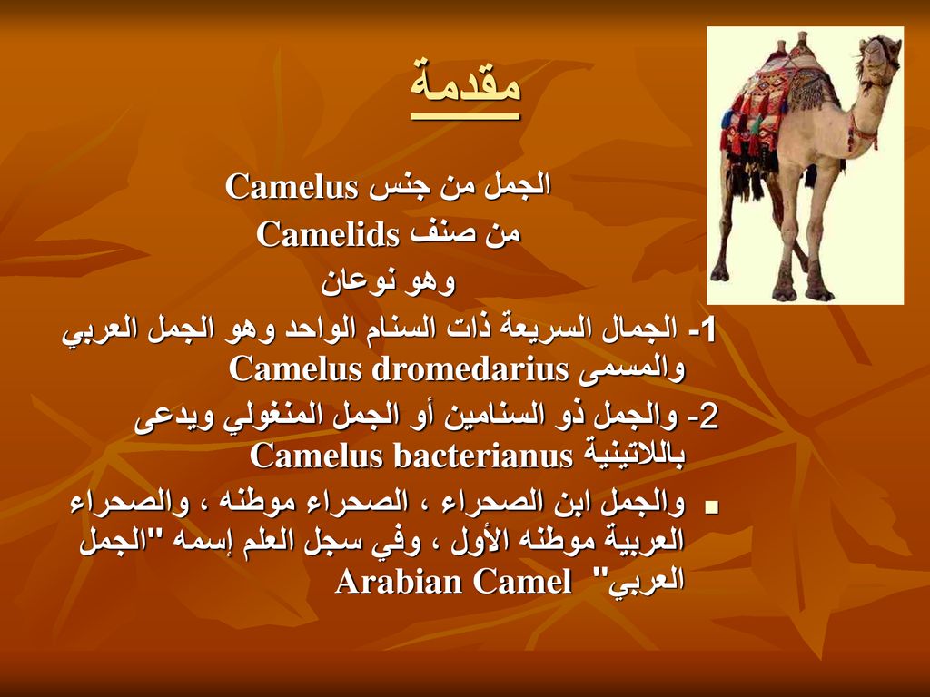 بسم الله الرحمن الرحيم Ppt Download