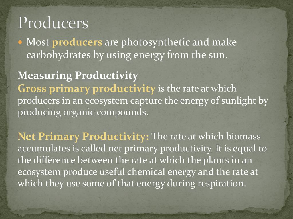 ECOSYSTEMS Chapter ppt download Biology Diagrams