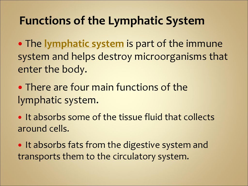 The Lymphatic System. - ppt download