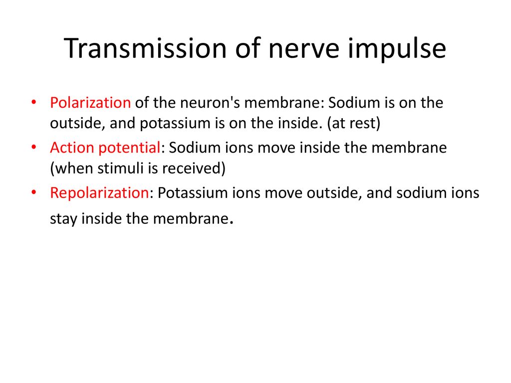 Functions and Divisions Biology Diagrams