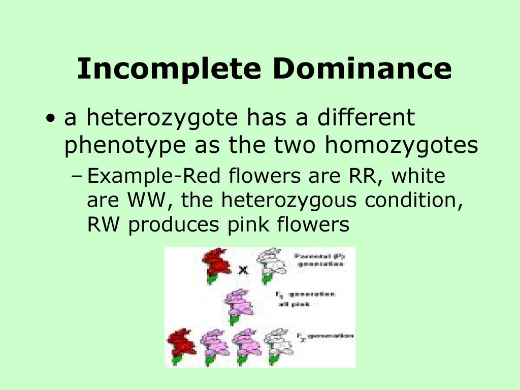 Incomplete Dominance a heterozygote has a different phenotype as the two homozygotes.