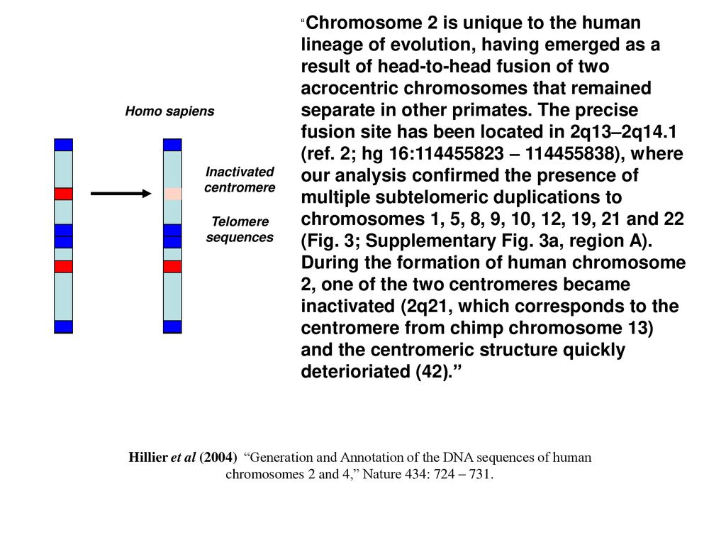 WHAT IS EVOLUTION?. - ppt download