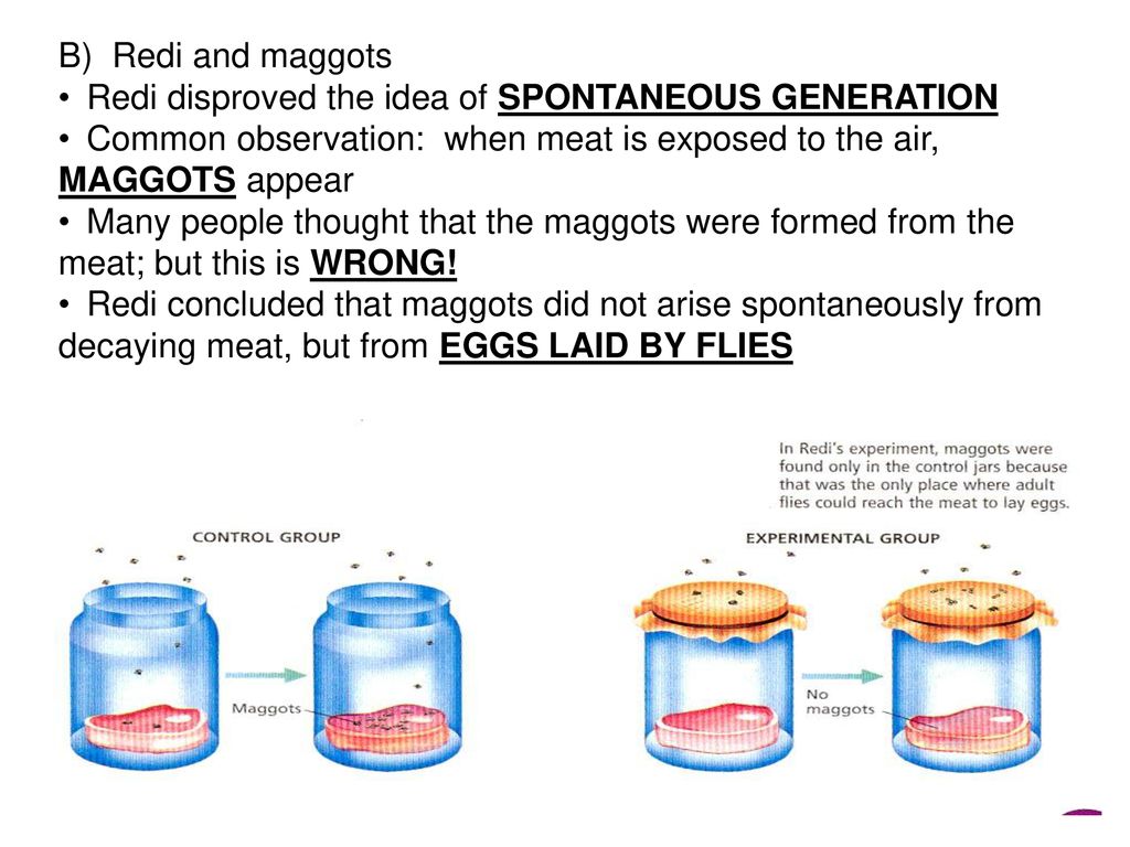 E V O L U T I O N Regents Biology Ppt Download