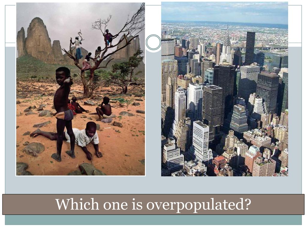 Which one is overpopulated