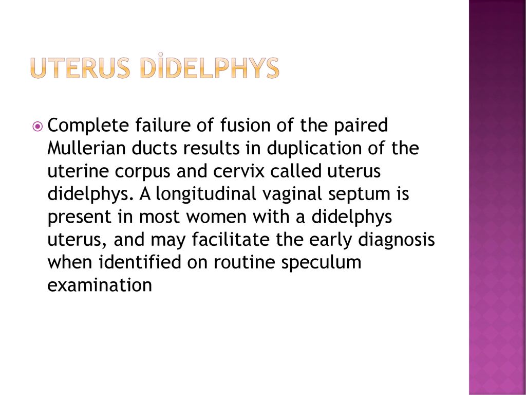 uterus didelphys