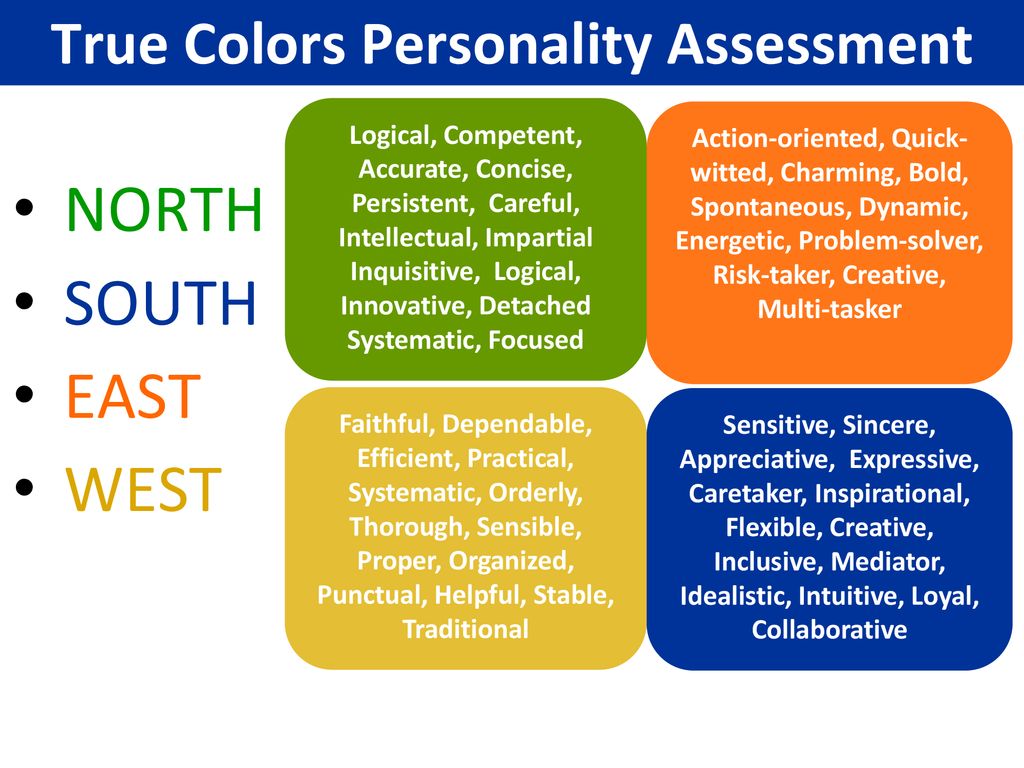 True Colors Personality Assessment.