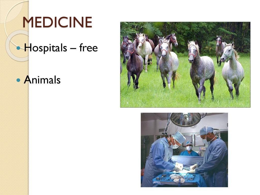 MEDICINE Hospitals – free Animals