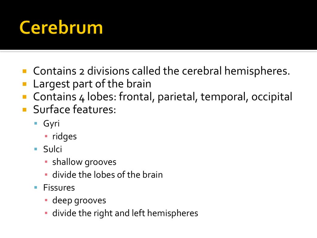 The Central Nervous System (CNS) – The Brain and Spinal Cord - ppt download