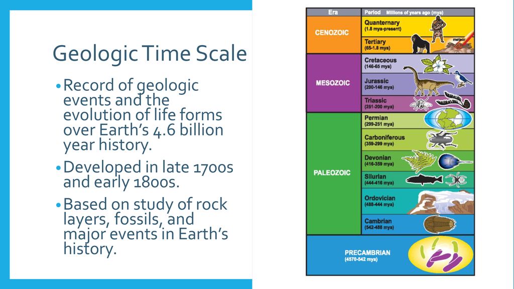 Geologic Time Scale Record of geologic events and the evolution of life forms over Earth’s 4.6 billion year history.