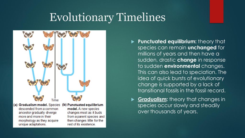Evolution ppt download