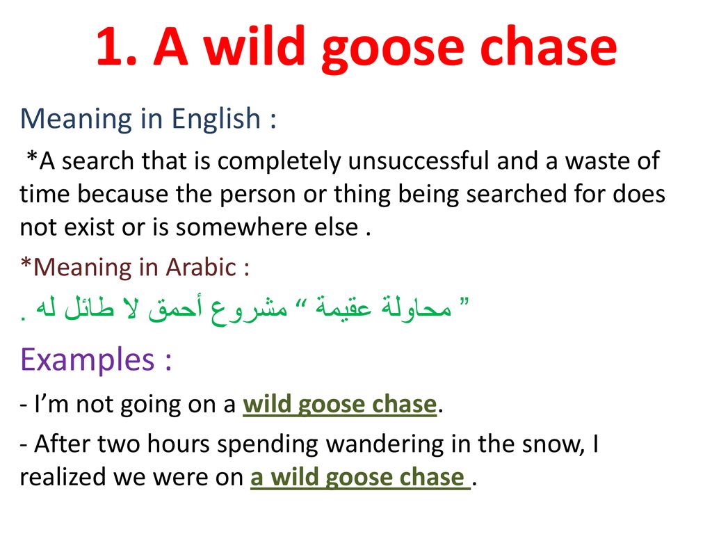 Go on a Wild Goose Chase Meaning with Example - Leverage Edu