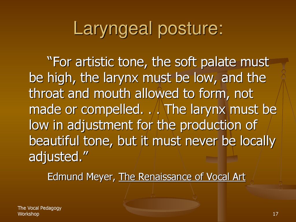Laryngeal posture: