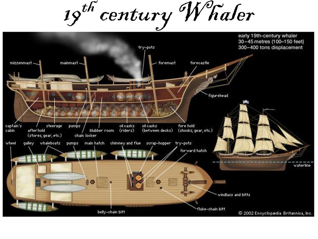 19th century Whaler.