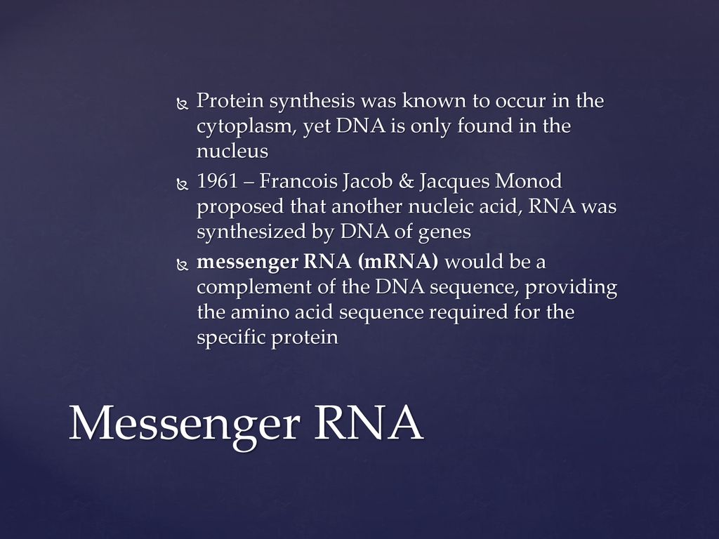 Protein Synthesis And Genetic Code Sbi4u Resource Website