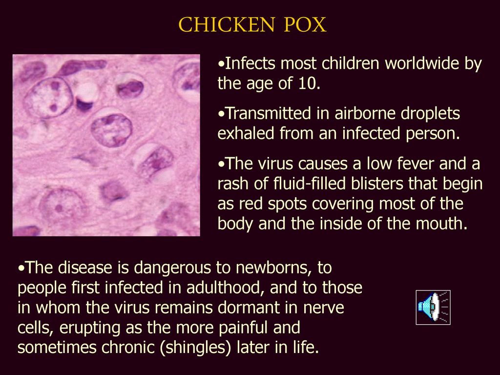 VIRUSES - ppt download