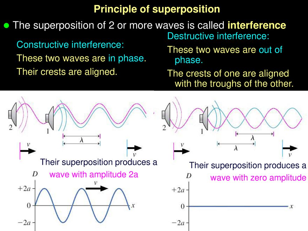 Study The Basic Properties Of Standing Waves - Ppt Download