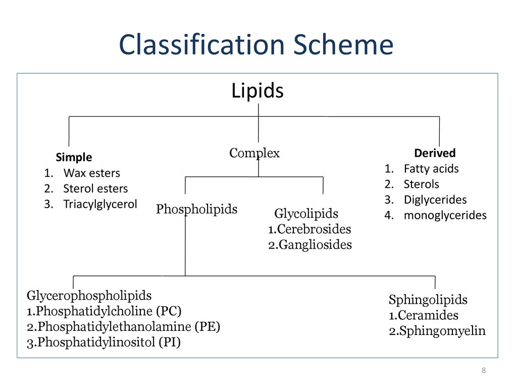 Lipids ppt download