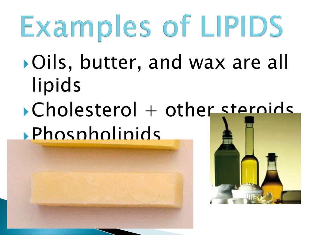 topic: lipids eq: explain the structure and function of lipids