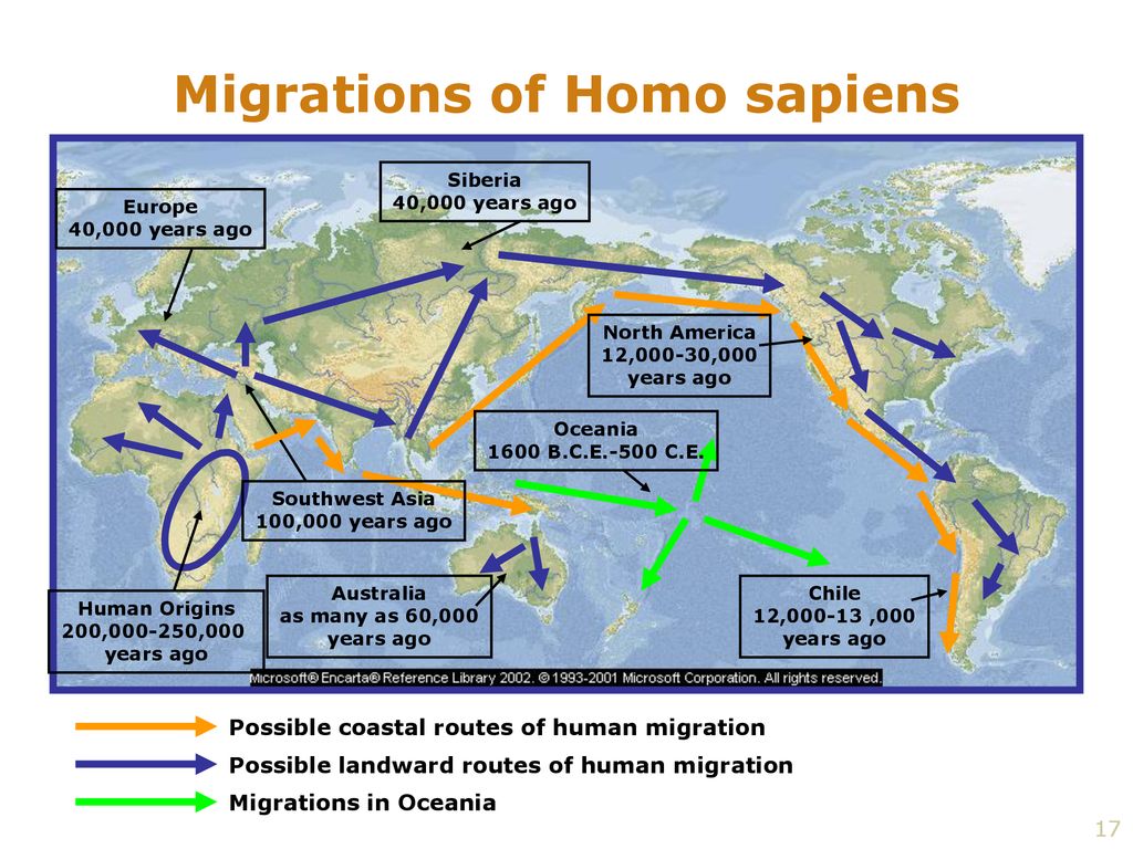 Пути возраст. Миграция хомо сапиенс из Африки. Карта расселения homo sapiens sapiens. Расселение homo sapiens в Европе. Первые homo sapiens в Европе.