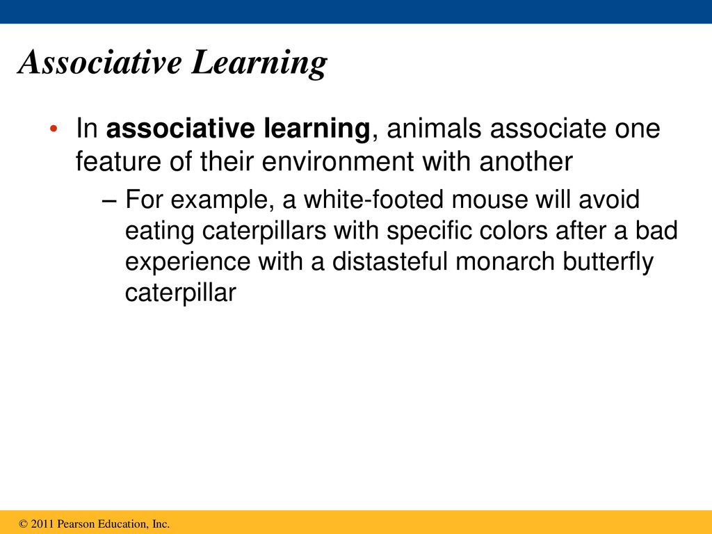 Associative Learning In associative learning, animals associate one feature of their environment with another.