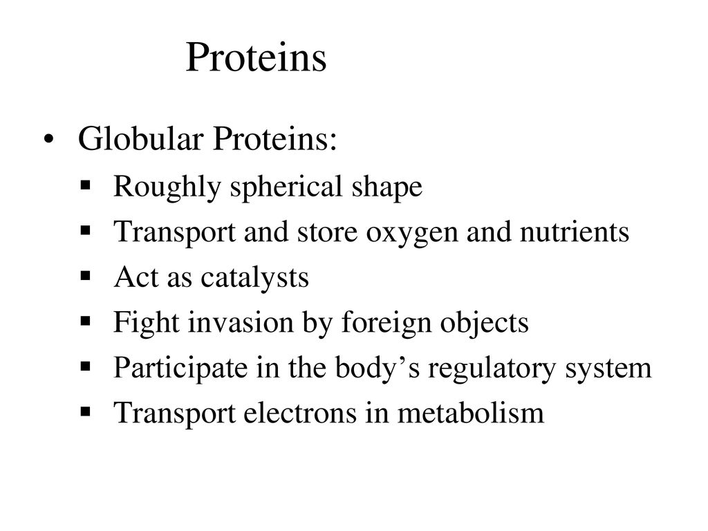 Proteins Globular Proteins: Roughly spherical shape