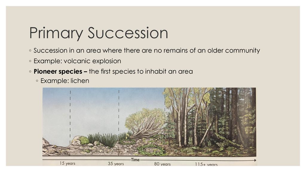 Ecosystems. - ppt download