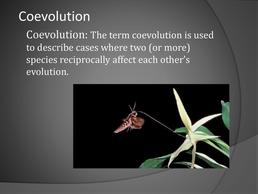 Explain The Significance Of Coevolution