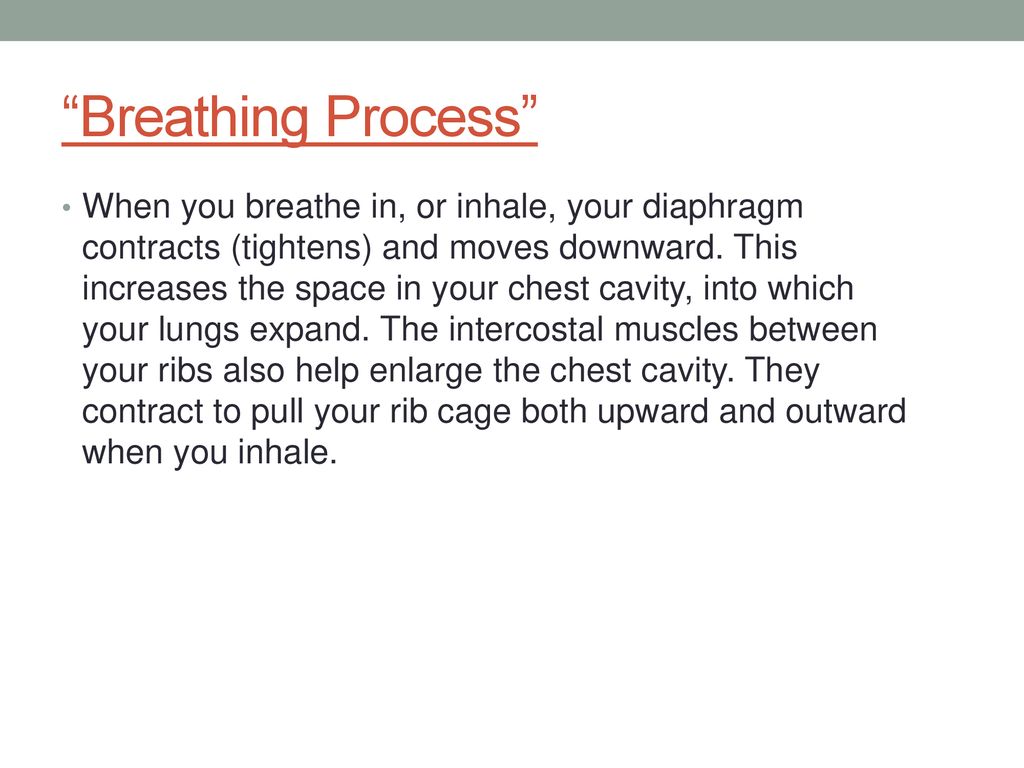 Respiratory System Alondra Huerta Christian Oropeza Diego Servin - ppt ...