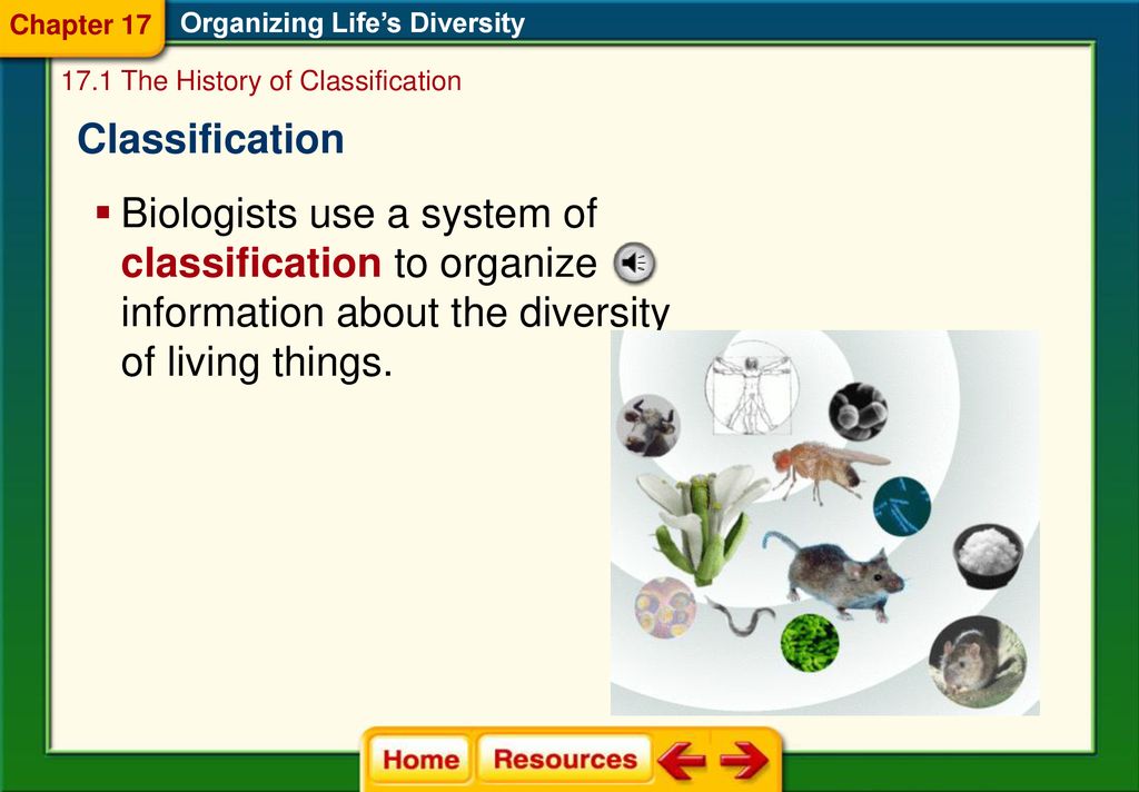 SB3C Examine the evolutionary basis of modern classification systems