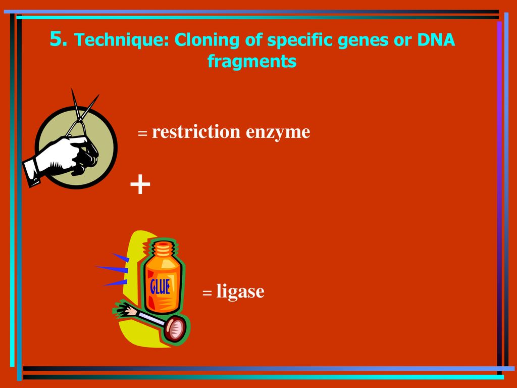 Recombinant DNA Techniques chapter ppt download