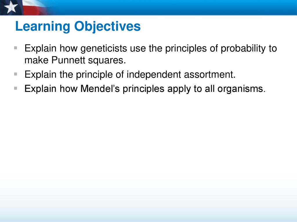 Learning Objectives Explain how geneticists use the principles of probability to make Punnett squares.