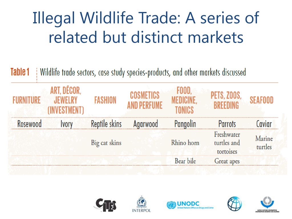 Illegal Wildlife Trade: A series of related but distinct markets