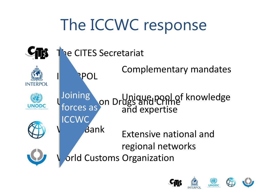 The ICCWC response The CITES Secretariat Complementary mandates