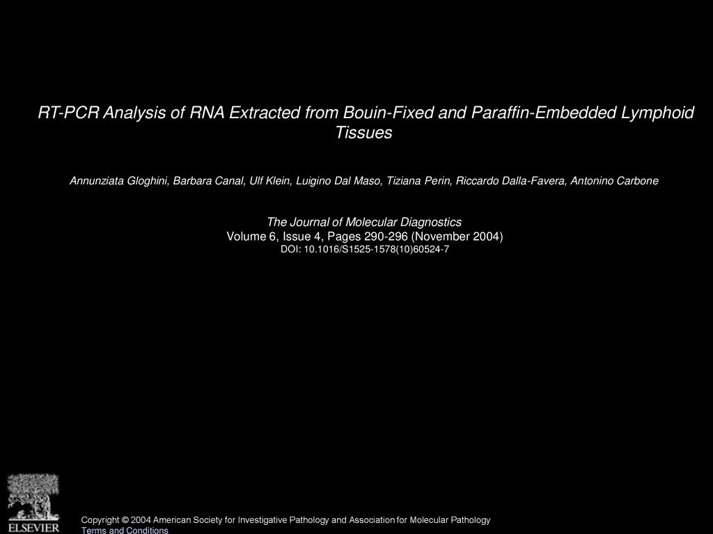 RT-PCR Analysis of RNA Extracted from Bouin-Fixed and Paraffin-Embedded Lymphoid Tissues